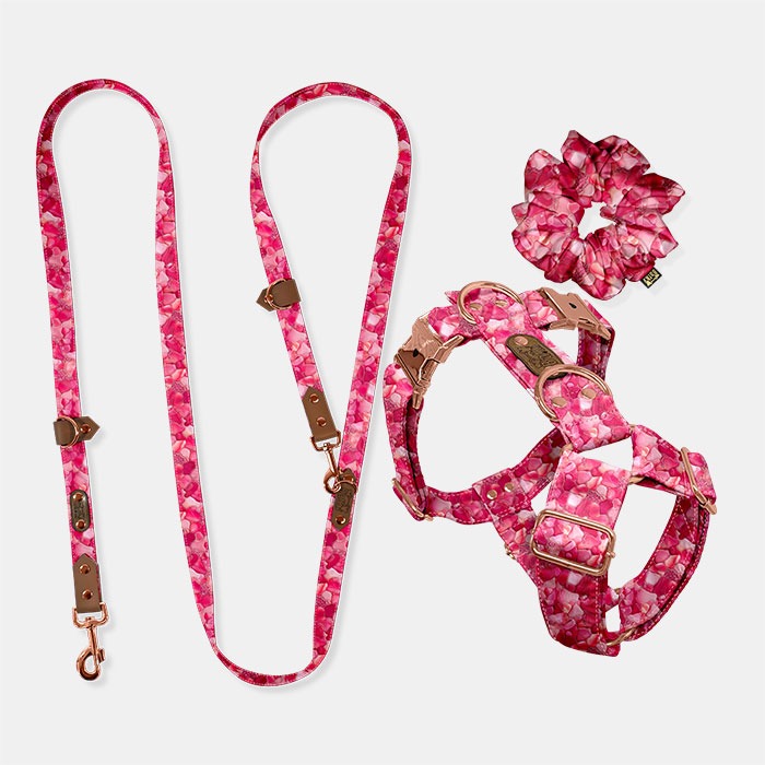 Set Freehands & Postroj Magentaya