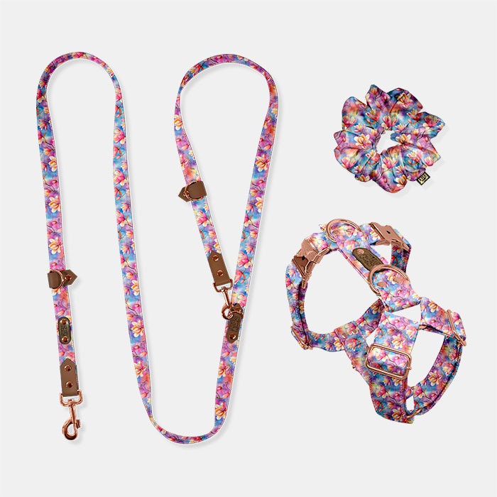 Set Freehands & Postroj Magnólie