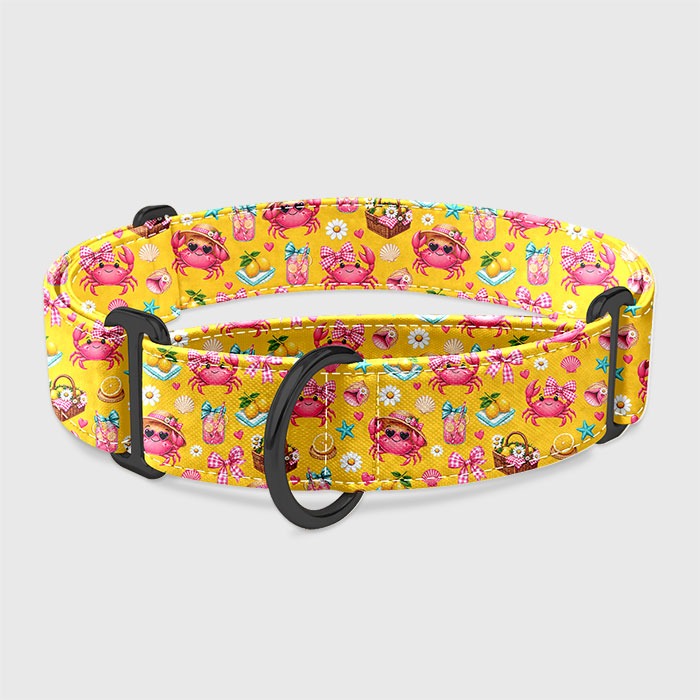 Martingale obojok Crabitta