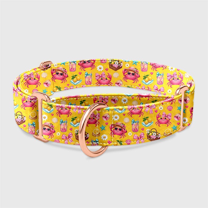 Martingale obojok Crabitta