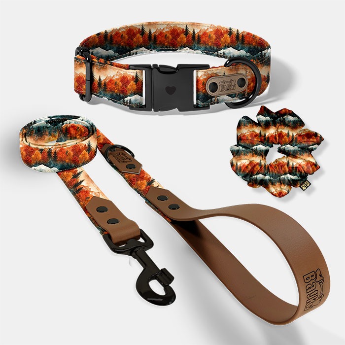 vodítko pre psa, vodítko jeseň, scrunchie gumička do vlasov, jesenná gumička, obojok pre psa, obojok jeseň, jesenný les, jeseň v lese